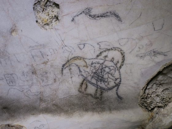 【别有洞天/02】探洞寻画,在消失前留下岩画完整记录