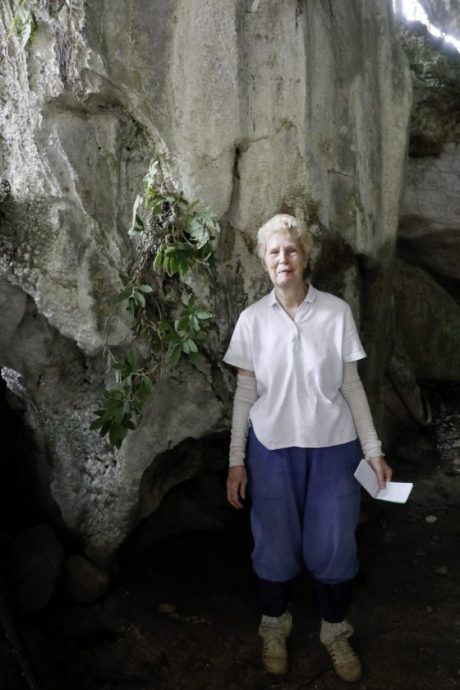 【别有洞天／03】从石灰岩山长出的独特植物生命