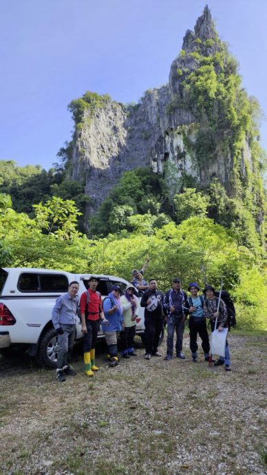 【别有洞天／03】从石灰岩山长出的独特植物生命