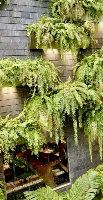 【新加坡】新加坡：惊喜精彩，无处不相逢！