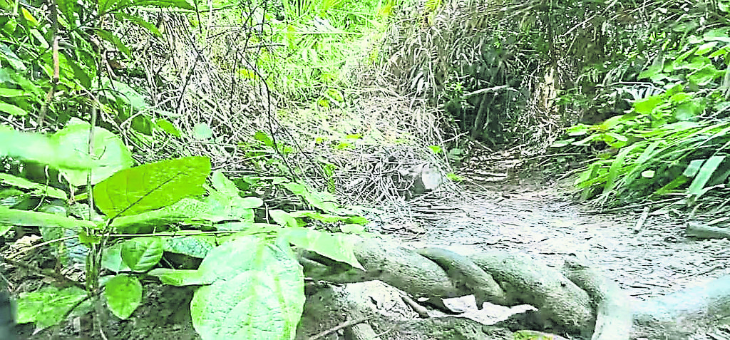 【星角摄】25/7 ME/ 星期五见报（古城上稿）：白岩石山