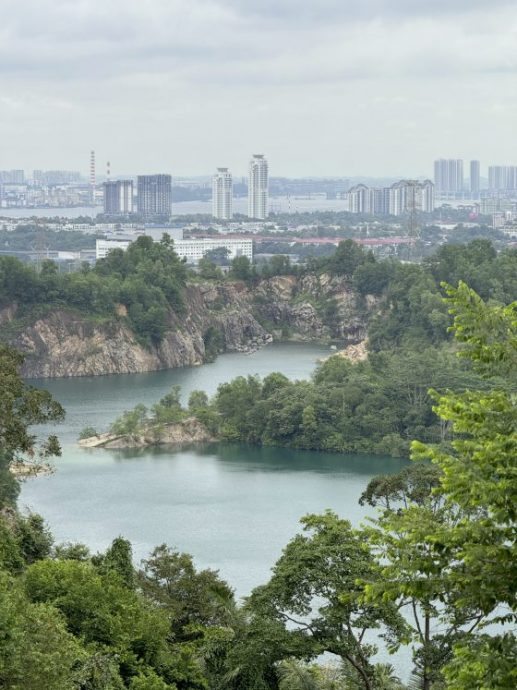 【生物多样性在新山/01】走入新山荒林,探寻珍贵的生命物种