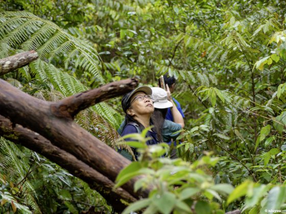 【生物多样性在新山/01】走入新山荒林,探寻珍贵的生命物种