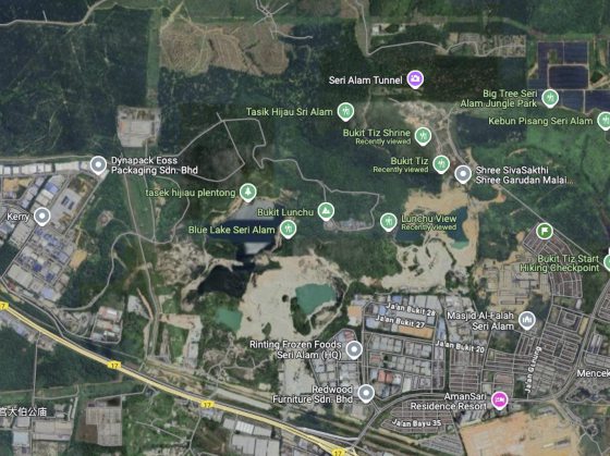 【生物多样性在新山/01】走入新山荒林,探寻珍贵的生命物种