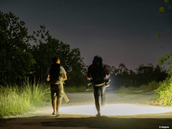 【生物多样性在新山／02】生态普查空白，保育行动缓慢，生态教育匮乏，我们应该如何补救？