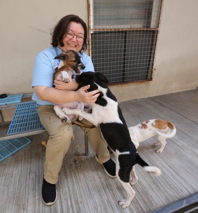 【解决浪浪的第三条路/01】 