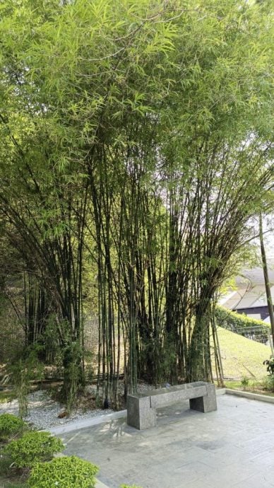 【马来西亚‧布城】跨越国界,寻觅友谊之花——中马友谊花园