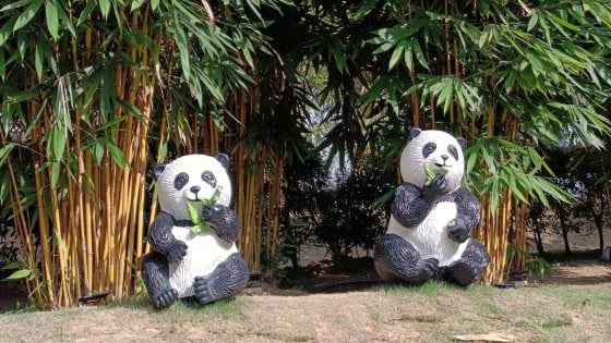 【马来西亚‧布城】跨越国界,寻觅友谊之花——中马友谊花园