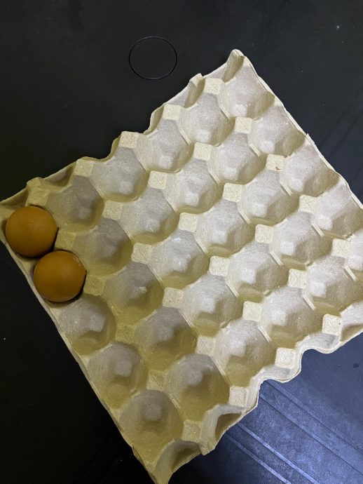 一托鸡蛋偷剩2个！女子申诉租屋处“家贼”难防