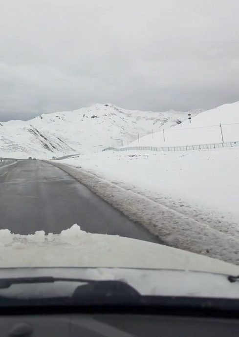 七月飞霜 青海罕见夏天下雪