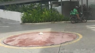 不等顾客下楼 餐点放路中央  女子怒斥送餐员没职业操守