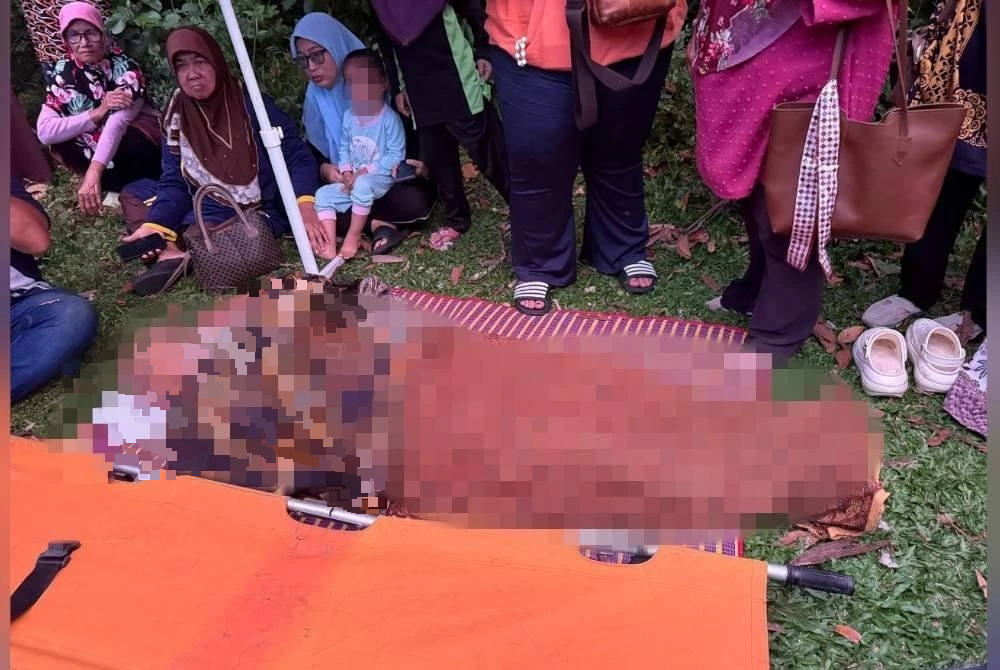 东（已签发）：副校长车撞路边起火丧命