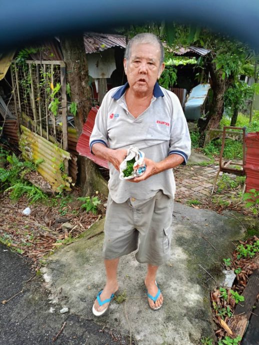 东（未签发）：关心独居长者