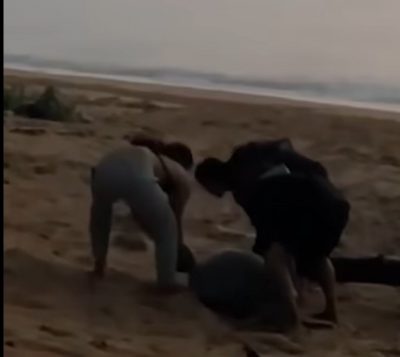 东:已签发:“海龟疑上岸产卵途中遭三男强行抬走”影片疯传,网民怒吼:执法单位必须严惩!