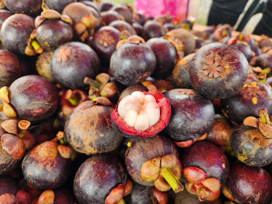 东：已签发：泰国进口山竹近期涌入本地市场，不仅价格相对低廉，品质亦媲美本地山竹，深受消费者青睐。