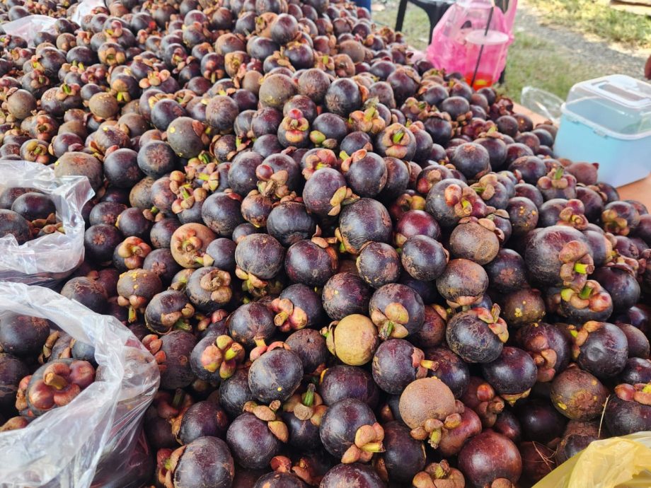 东：已签发：泰国进口山竹近期涌入本地市场，不仅价格相对低廉，品质亦媲美本地山竹，深受消费者青睐。