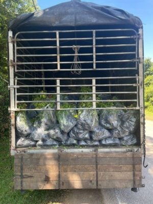 走私三角梅疑含病菌  警起4千株幼苗扣司机