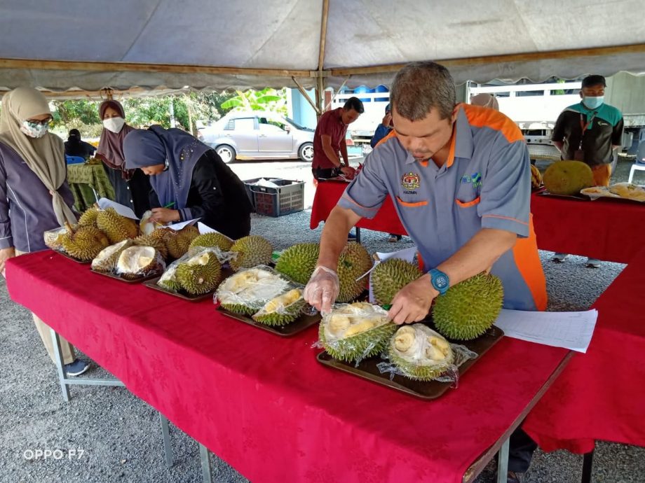 东:百乐县农业局今日榴梿嘉年华有吃榴梿比赛欢迎民众参与
