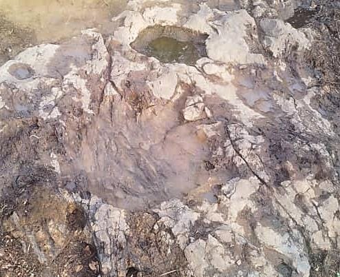 东：（已签发）垦殖区居民发现大脚印