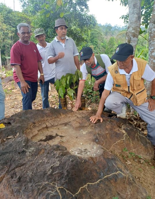 东：（已签发）垦殖区居民发现大脚印