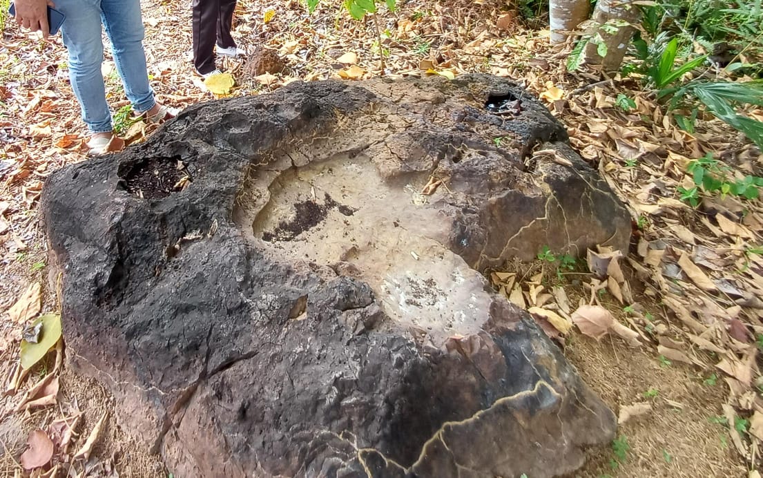 东：（已签发）垦殖区居民发现大脚印