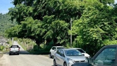 陀秋萍：市会接投诉速行动  安乐花园茂密树木修剪了