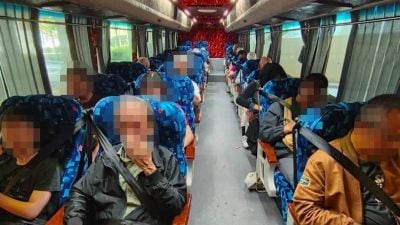 彭陆交局展开首日执法行动 1司机6乘客未系安全带接罚单