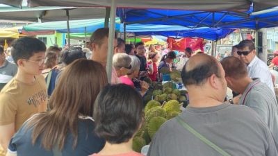 榴梿跌价 大批游客涌进文冬