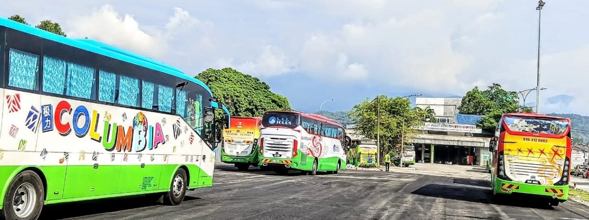 东:(已签发)文冬榴梿跌价吸引广大游客到访