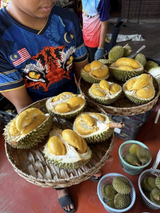 榴梿拼盘套餐受欢迎