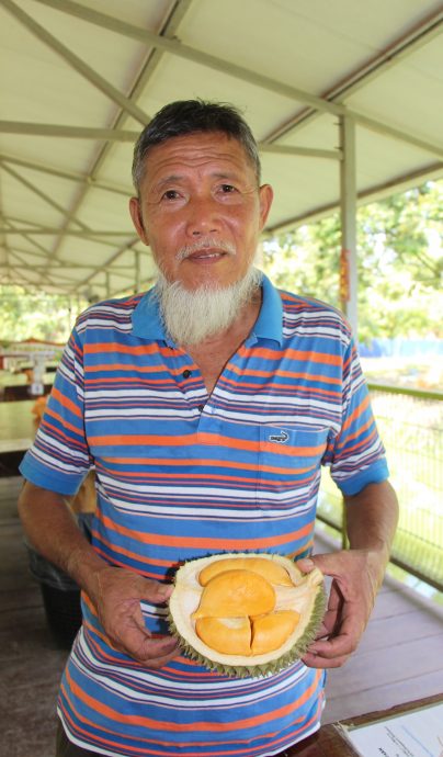 东：（未签发）品质不达标，产量增加，黑刺价格首次低于猫山王