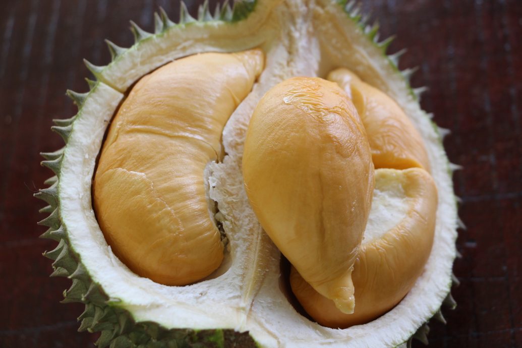 东：（未签发）品质不达标，产量增加，黑刺价格首次低于猫山王