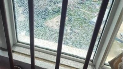 中国多地高温破纪录 鹅在水中热死