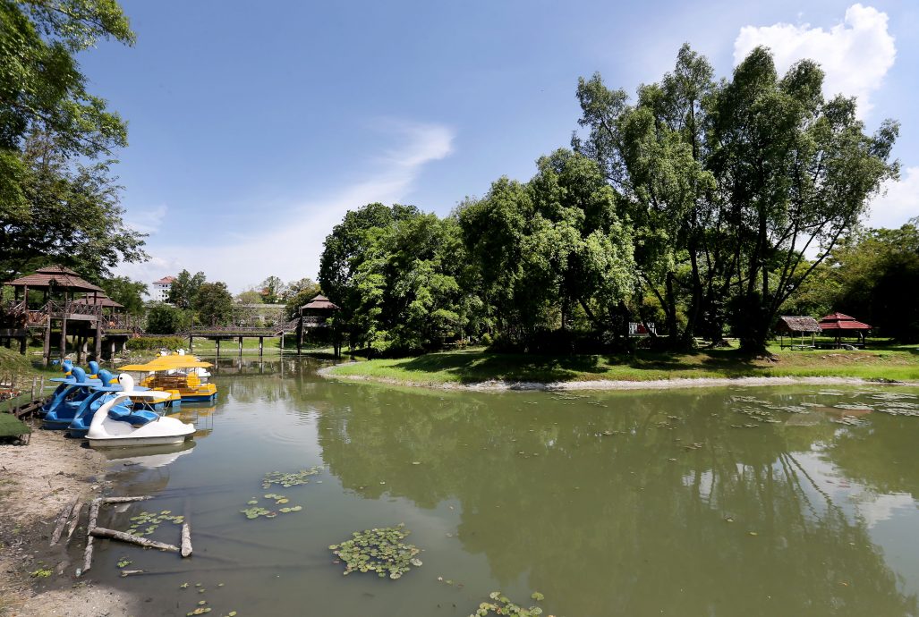 乾涸见底 雨树别波 游船卡床 霹久旱绿湖失色