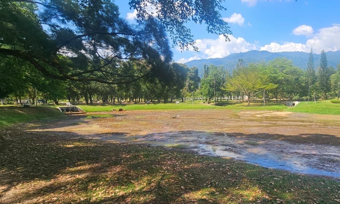 乾涸见底 雨树别波 游船卡床 霹久旱绿湖失色