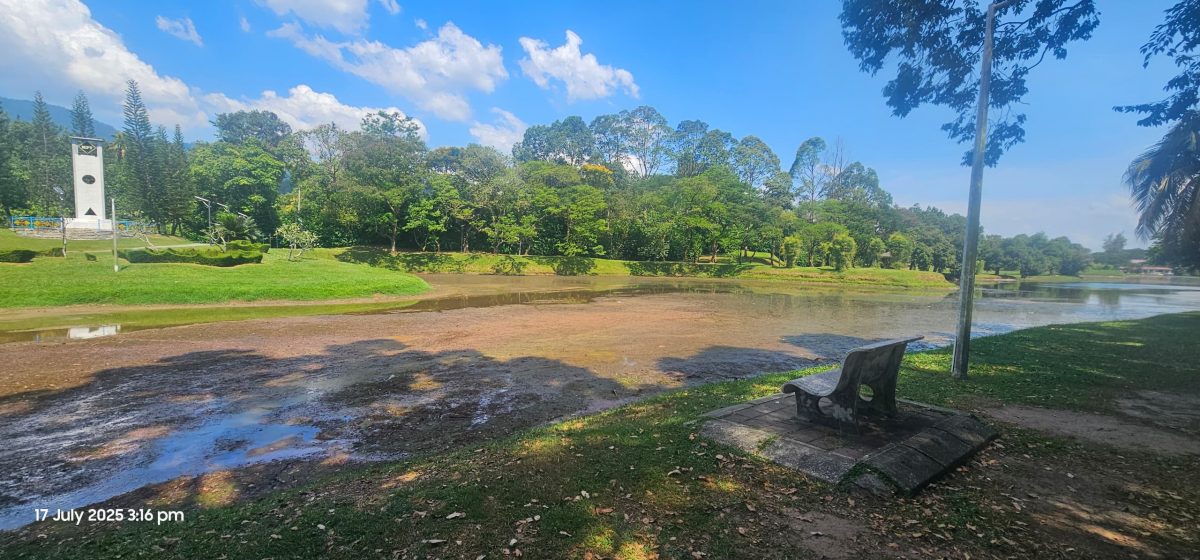 乾涸见底 雨树别波 游船卡床 霹久旱绿湖失色