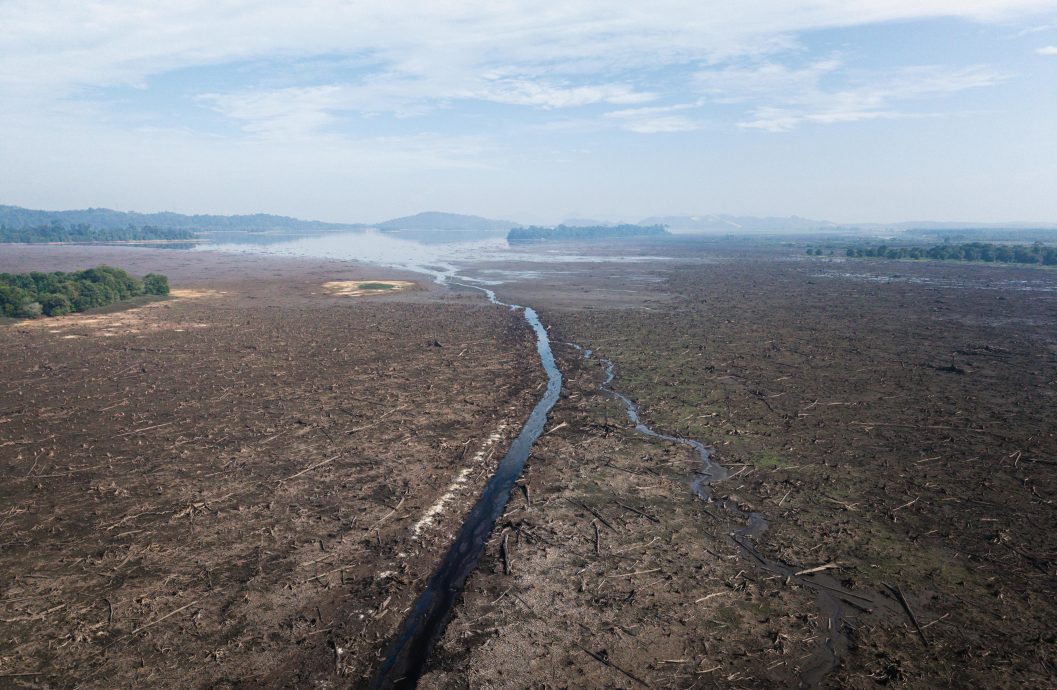 乾涸见底 雨树别波 游船卡床 霹久旱绿湖失色