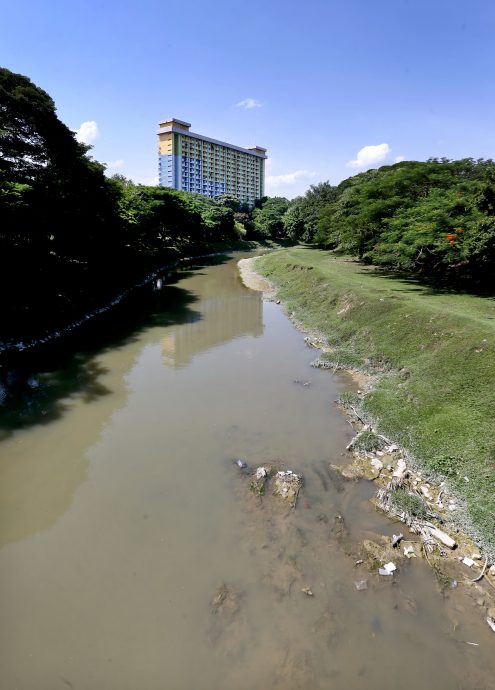 乾涸见底 雨树别波 游船卡床 霹久旱绿湖失色