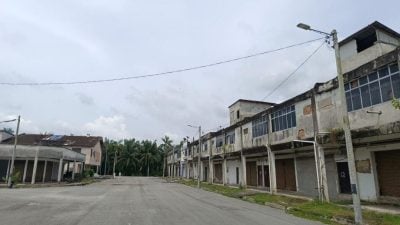 仁保燕屋执照费大调降 市议会拟召燕农说明细则