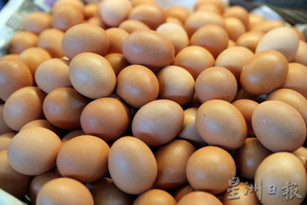 价格更亲民 农粮部推“特别级鸡蛋”！