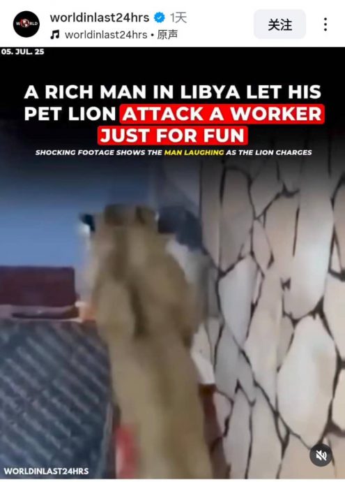 任由宠物狮子追逐攻击员工 网抨富豪残忍不人道