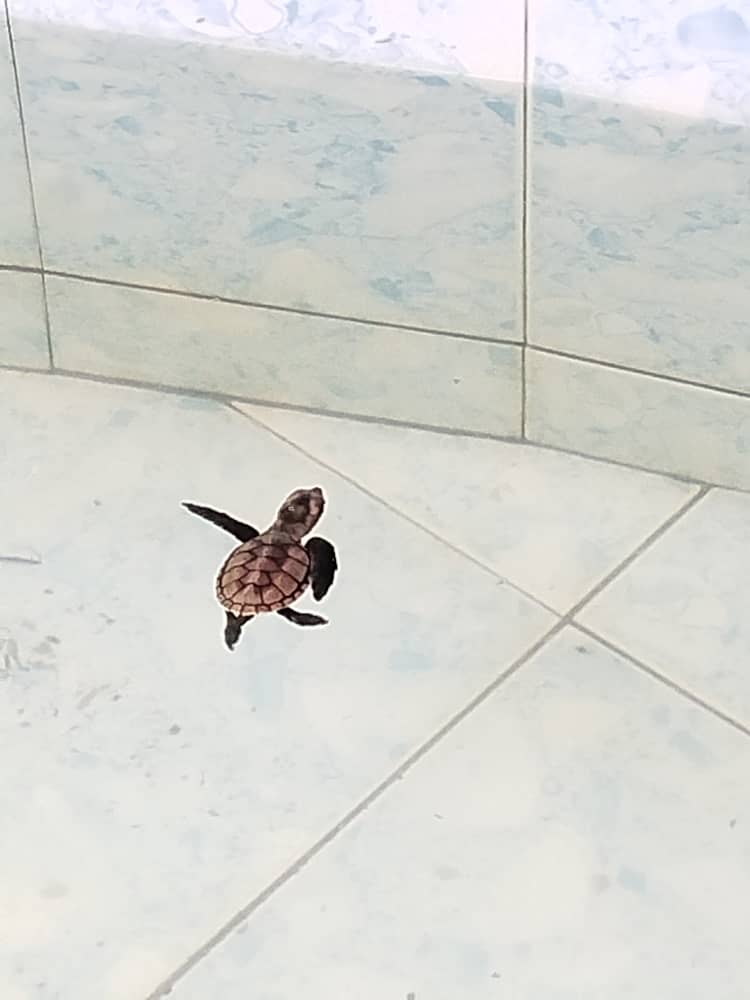 供上网（30/7见报）学海学记专题，七区共用