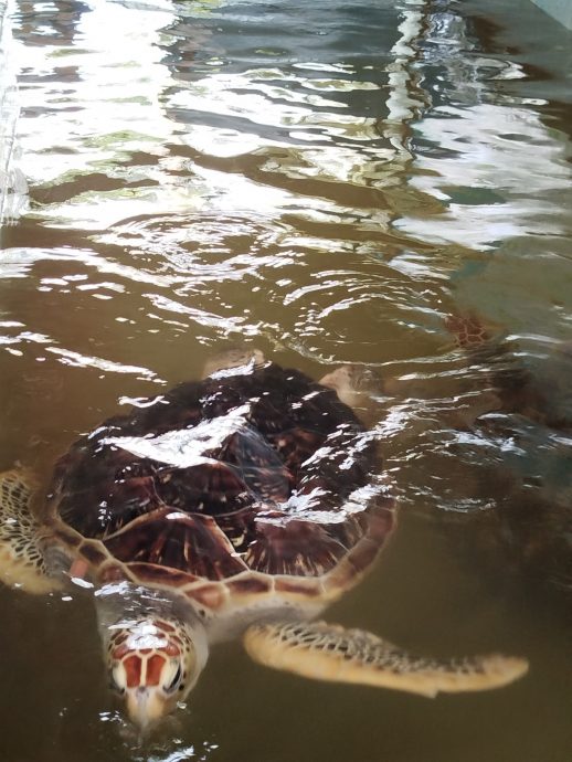 供上网（30/7见报）学海学记专题，七区共用