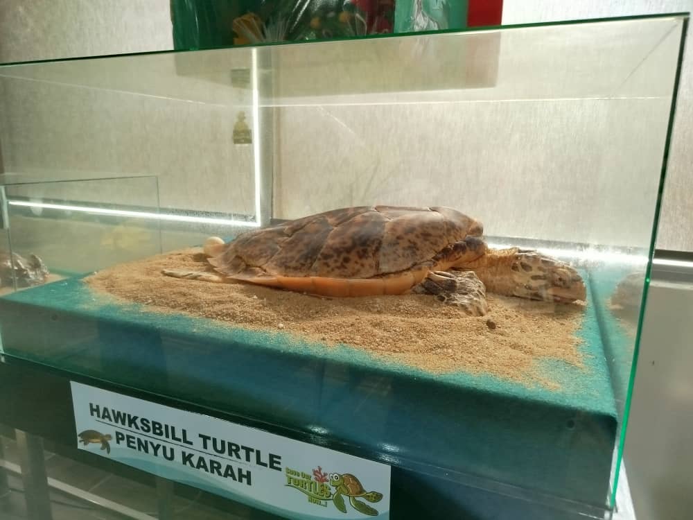 供上网（30/7见报）学海学记专题，七区共用