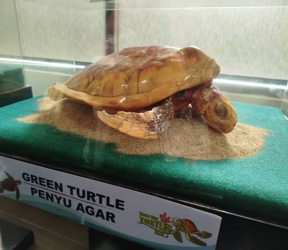 供上网（30/7见报）学海学记专题，七区共用