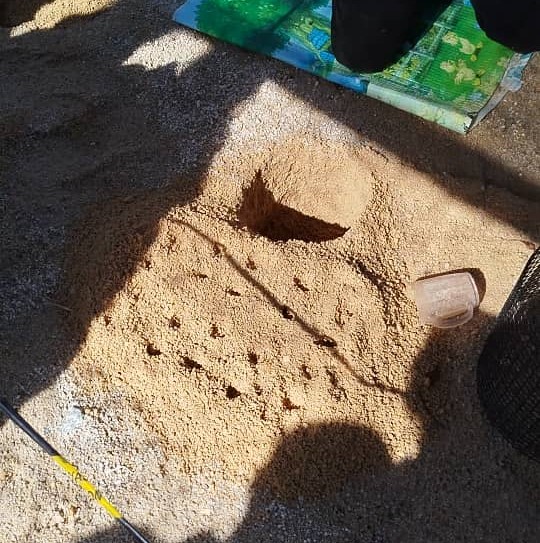 供上网（30/7见报）学海学记专题，七区共用