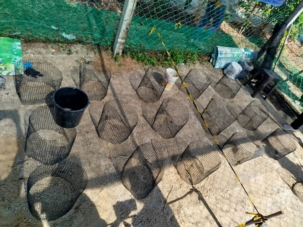 供上网（30/7见报）学海学记专题，七区共用