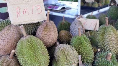 秤具检定逾期一天也不能再用 “果王”季节森内贸局逐个榴櫣档检查