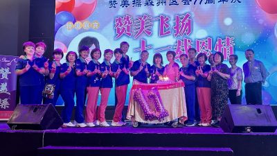 供星洲网/陈丽群：文化传承需资助　鼓励社团申请“TAC at N9”拨款