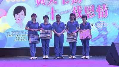 供星洲网/陈丽群：文化传承需资助　鼓励社团申请“TAC at N9”拨款